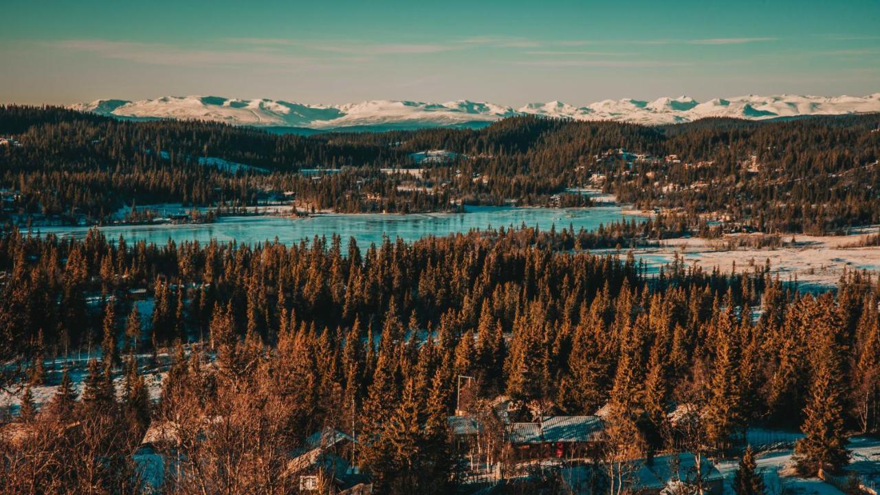 Danebu Kongsgaard Hotel Aurdal Bagian luar foto