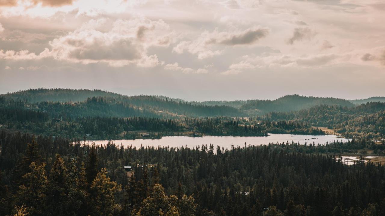 Danebu Kongsgaard Hotel Aurdal Bagian luar foto